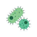 Viral Infections