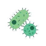 Viral Infections